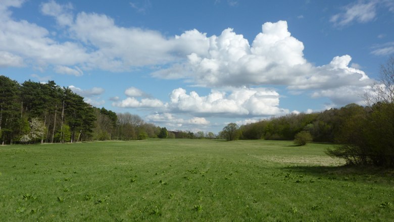 Plateau with Iron Age settlement on the Malleiten, &copy; Susanne Klemm