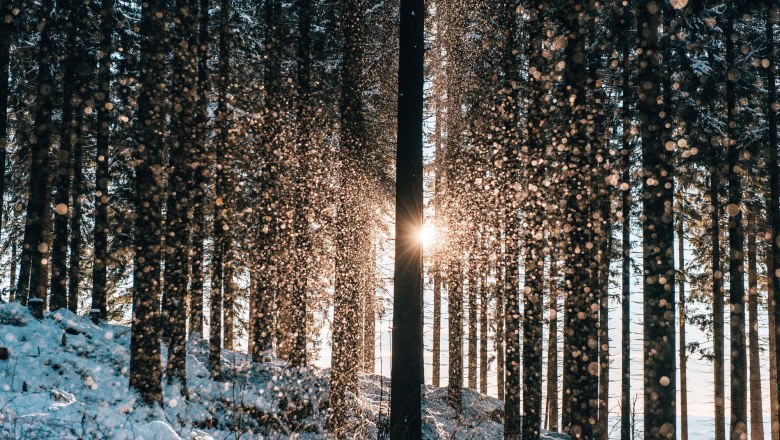 Wandern im Winter im Waldviertel, &copy; Waldviertel Tourismus, sommertage.com