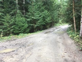 Turistick&yacute; chodn&iacute;k č. 33, pr&iacute;roda, &copy; Stadtgemeinde Allentsteig