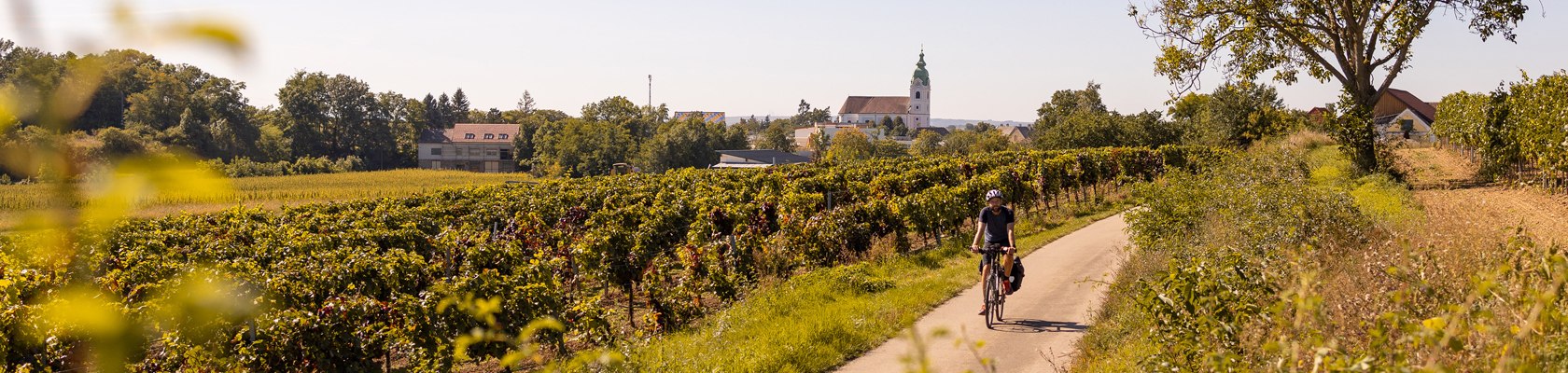 Iron Curtain Trail, © Niederösterreich Werbung/ Franziska Consolati 