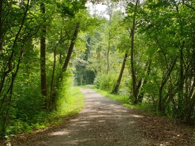 Kleine Au, Fischamend, © Unknown