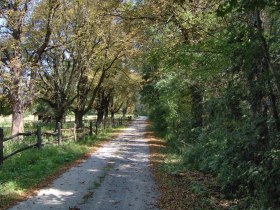 Ortsspaziergang Eckartsau, Weg durch den Au-Wald, &copy; Unknown