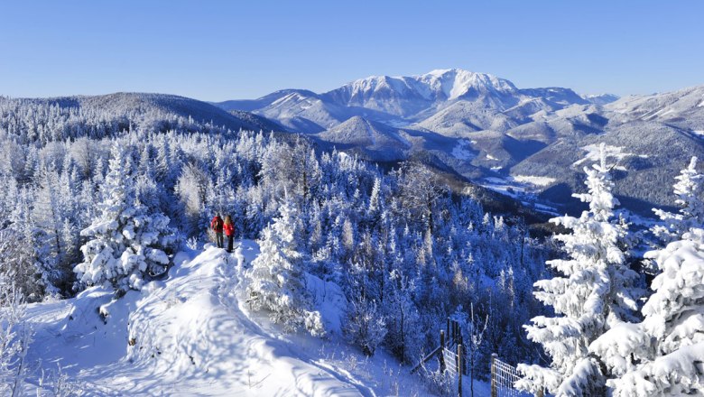 Brodiť sa snehom prírodnej rezervácie Naturpark Hohe Wand, © Naturparke Niederösterreich/Robert Herbst