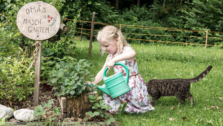 Dovolenkov&yacute; domček Oberbach, &copy; Wolfgang Wutzl