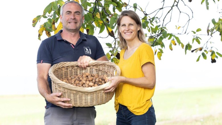 NUSSLAND, orechovn&iacute;ky, ktor&eacute; zu&scaron;ľachťuj&uacute;, &copy; Theo Kust