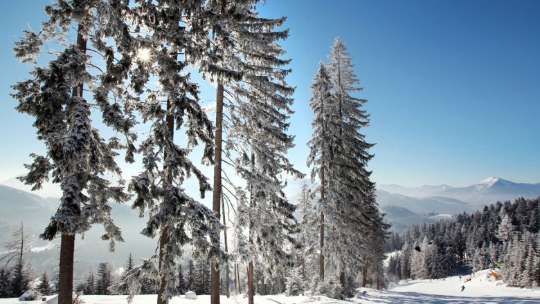 Čarovná zimná krajina v Annabergu, © weinfranz.at