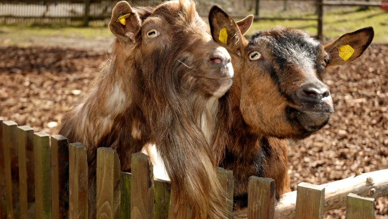 Geras Nature Park, &copy; Naturpark Geras