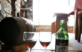 Wine cellar, Prellenkirchen wine cellar lane, &copy; Steve Haider