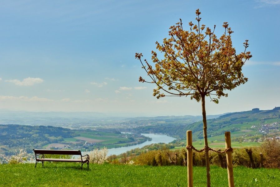 Pohľad na Dunaj a Nibelungengau z kláštornej záhrady v Maria Taferl