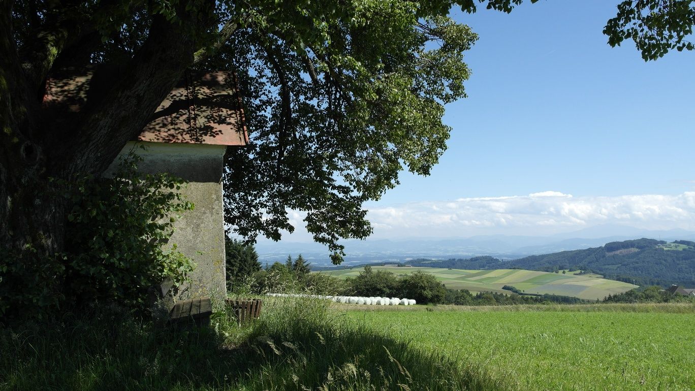 Brandstätter Kreuz - Výhľad