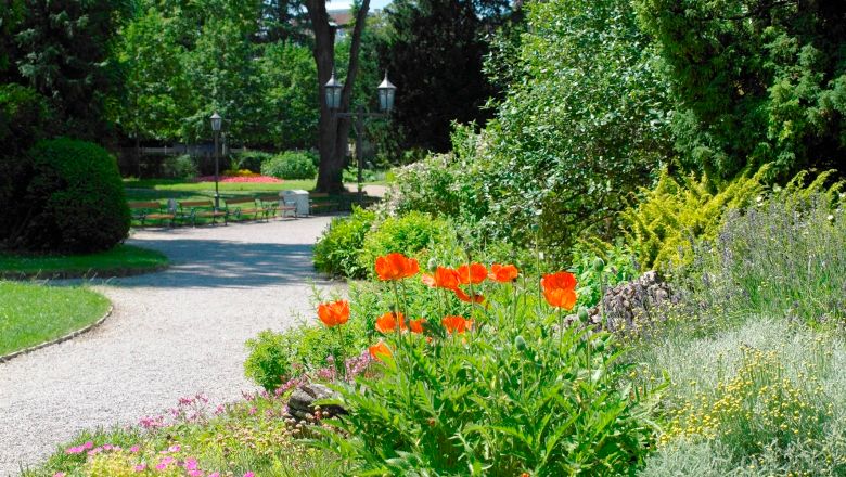 Udržiavaná parková cesta s kvitnúcimi červenými kvetmi a zelenými kríkmi v parku Sparkassenpark St.