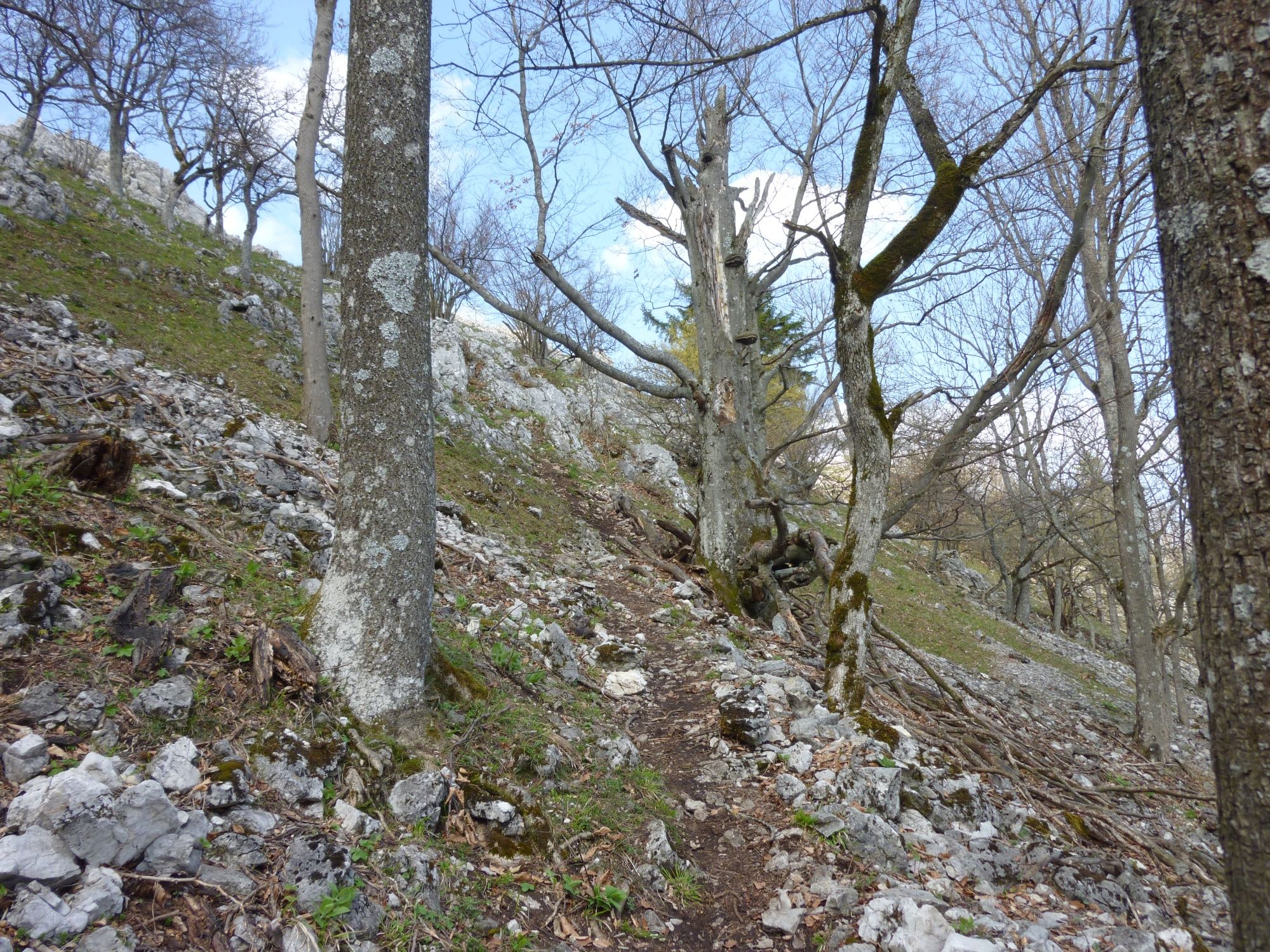 Cesta tesne pod vrcholom