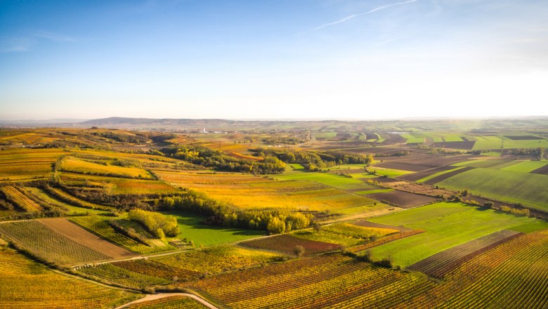 Kleinriedenthal inmitten sanfter Weinhügel, © Kastner