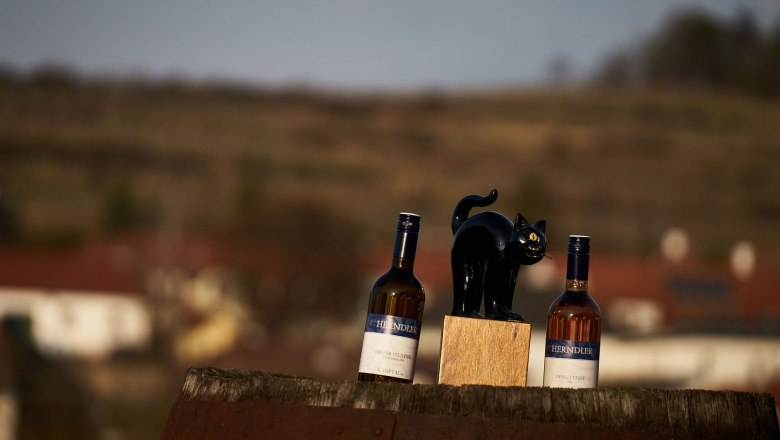 Winery Thomas Herndler, &copy; Christian Stachowitz