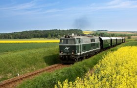 V Reblausexprese cez Waldviertel a Weinviertel, © Prokop