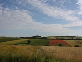 Pohľad smerom na Ple&szlig;berg-Ottenschlag, &copy; Martina Fuchs-K&ouml;ck