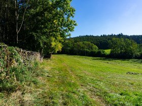 Alm- und Blumenwiesen, © Unknown