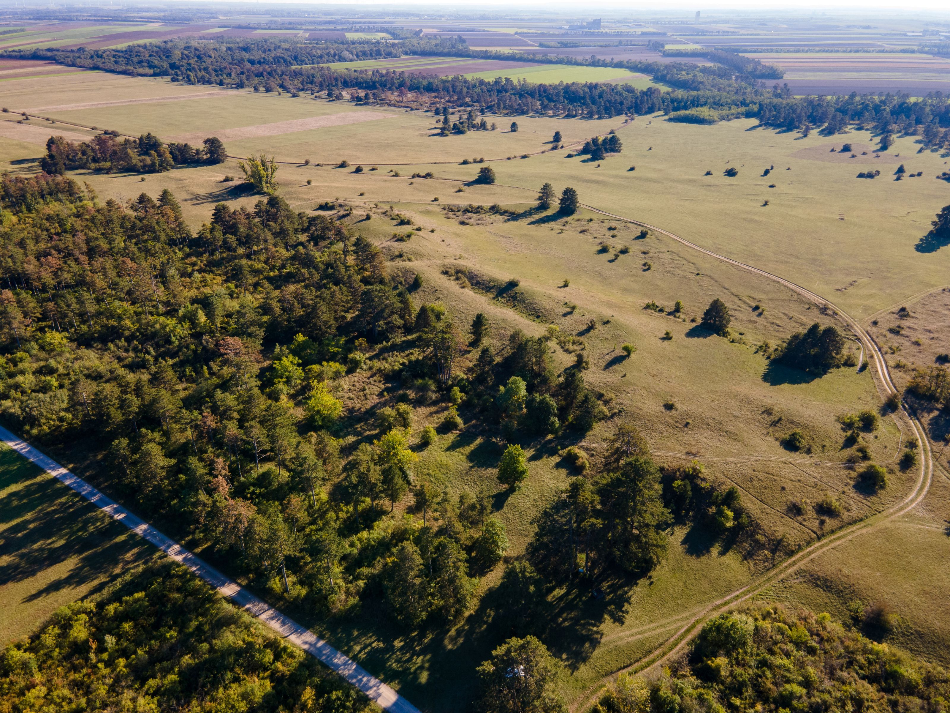 Letecký pohľad na obec Weiden an der March s poľami, lúkami, skupinkami stromov a cestami v rozľahlej krajine.