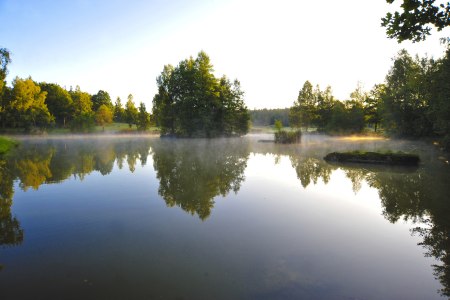Prírodná rezervácia Blockheide, © Naturparke Niederösterreich/Robert Herbst