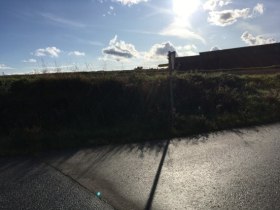 Turistick&yacute; chodn&iacute;k č. 30, duby a sovy, &copy; Gemeinde Allentsteig