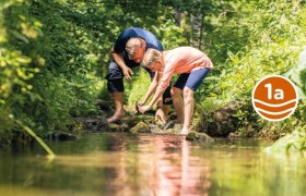 Prehliadka rokliny mal&aacute; 1a, &copy; Wiener Alpen in Nieder&ouml;sterreich - Schneeberg Hohe Wand
