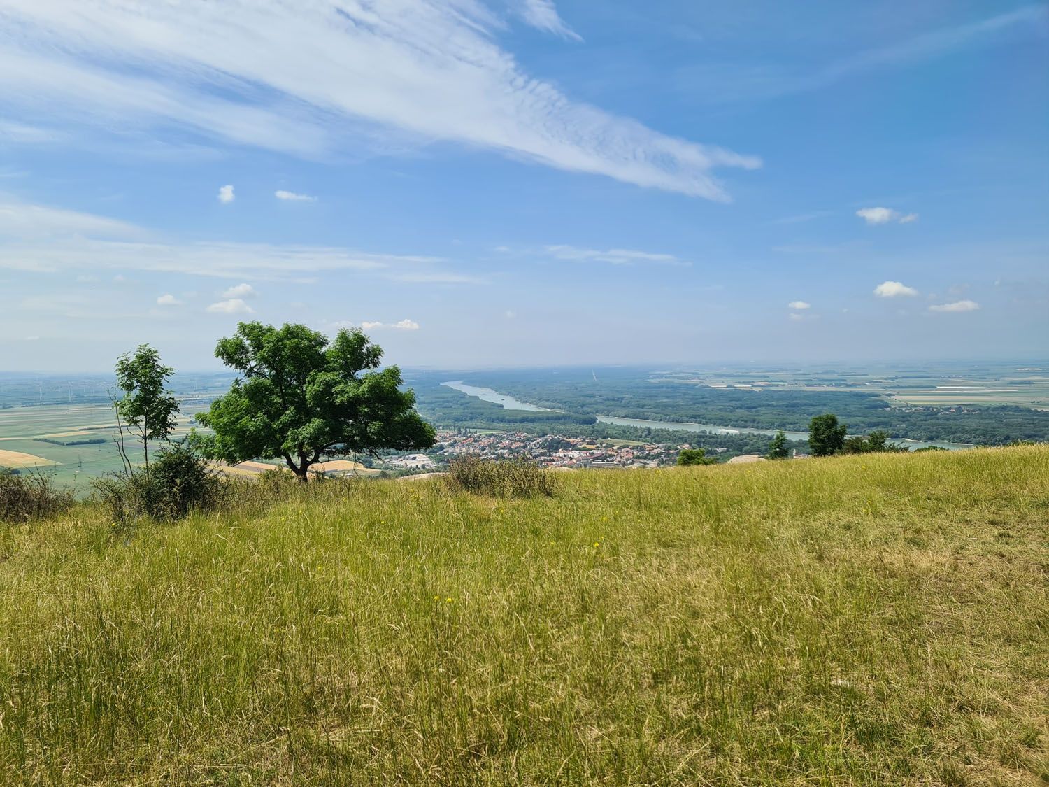 Pohľad z vrchu Hundsheimer Berg s výhľadom na údolie, stromy a rieku.