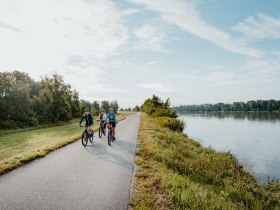 Radtour am Donauradweg bei Feldkirchen an der Donau, &copy; WGD Donau Ober&ouml;sterreich Tourismus GmbH