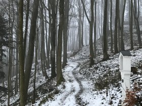 Winterwandern, © Mostviertel Tourismus/@Haus der Elsbeere