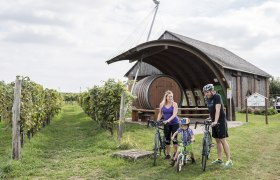 Familie Radfahrer  Erlebnisweingartl Hohenruppersdprf WTG Herbst 1, &copy; Weinviertel Tourismus GmbH / Herbst