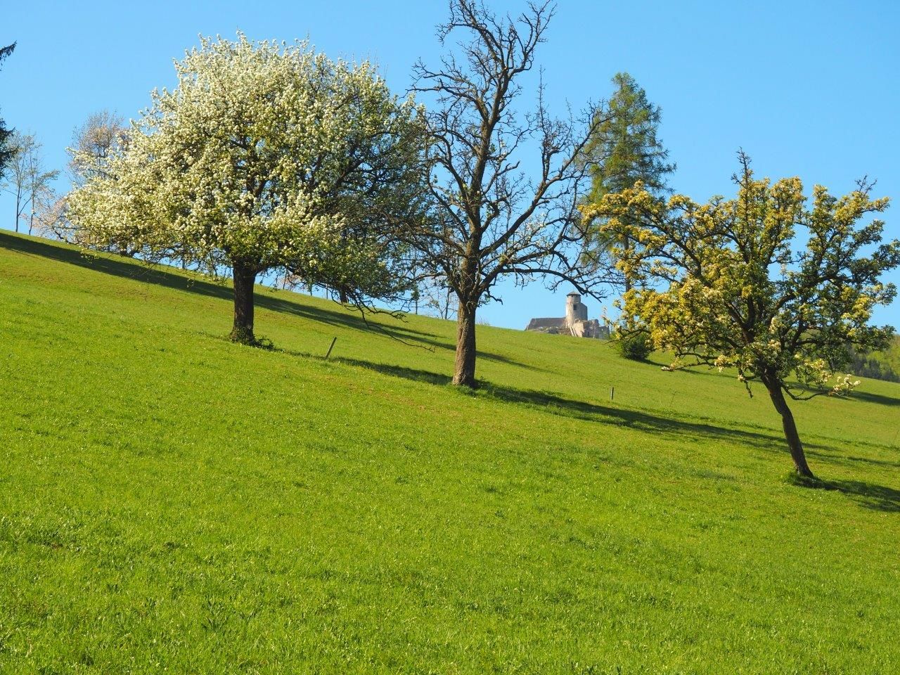 S výhľadom na Araburg