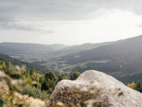 Wandern, Yspertal, Ysperklamm, Druidenweg, südliches Waldviertel, © Niederösterreich Werbung/Melanie Kerzendorfer