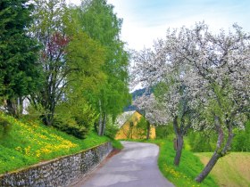 Hieronymusweg, &copy; Marktgemeinde Sch&ouml;nbach