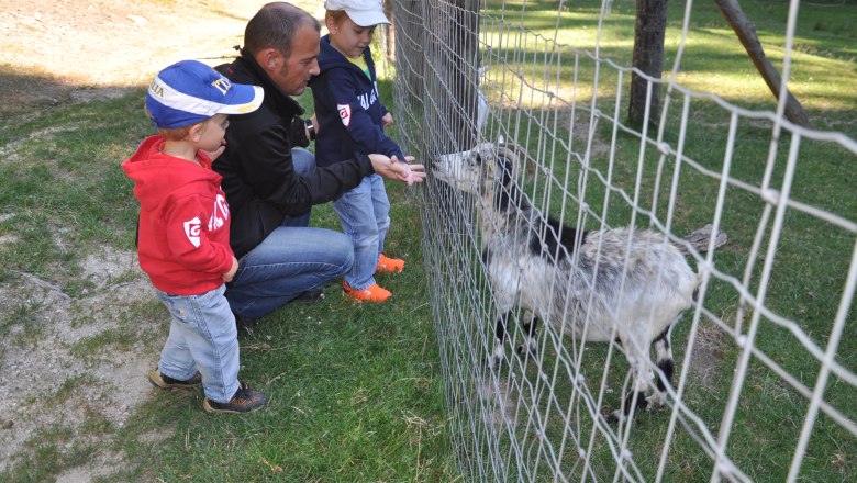 Animal enclosure, © Reinhard Nieder
