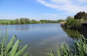 Teichlandschaft Nexing, &copy; Urani
