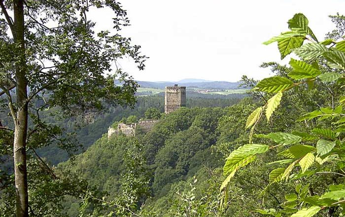 Ruine Schauenstein z východu, © Leopold Hollensteiner