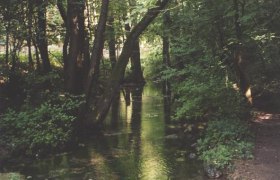 Antoniusbr&uuml;ndl, &copy; Antoniusbr&uuml;ndl