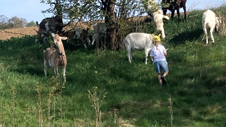 Finsterhof6, &copy; Camping Finsterhof