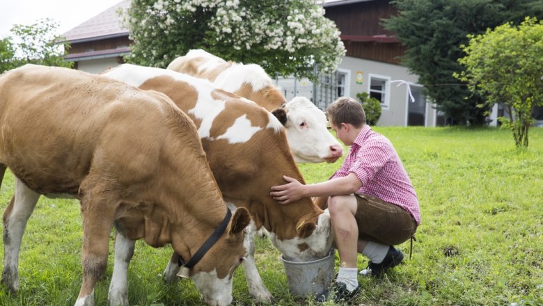 Sonnhalmberg farm cheese dairy, &copy; Theo Kust