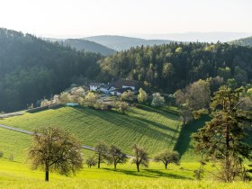 Gutenmann, &copy; Wiener Alpen in Nieder&ouml;sterreich