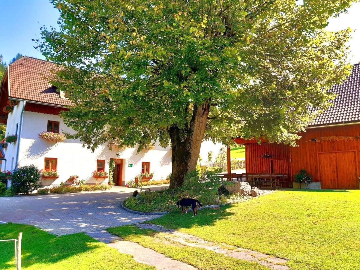 Dovolenka na farme-Oberrehau
