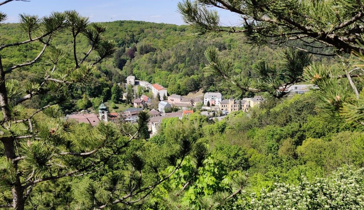 new-kaleu-from-kaisersteig