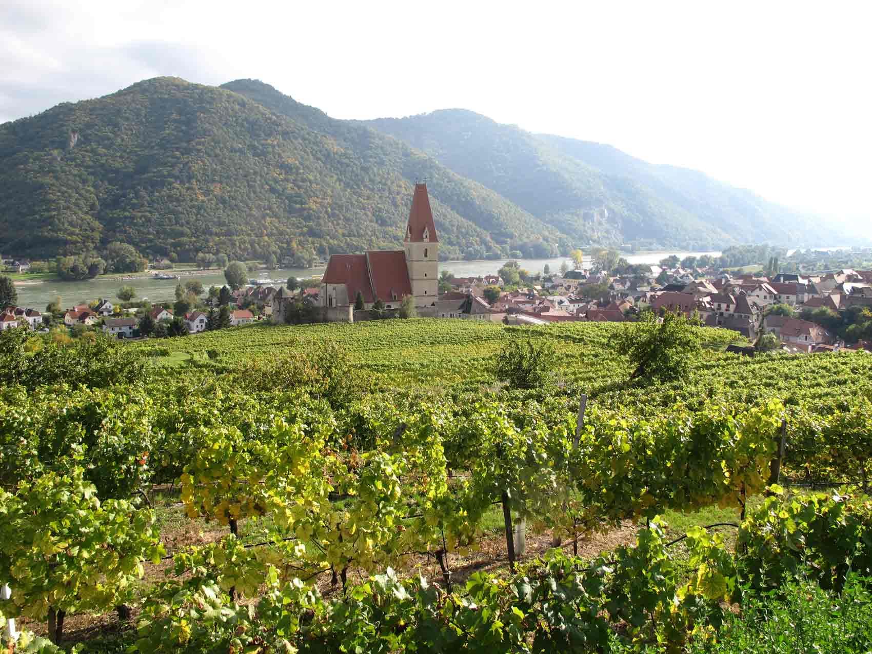 Pohľad na Weißenkirchen in der Wachau s vinicami a kostolom v popredí.