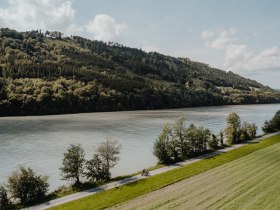 Donauradweg in Freizell, © WGD Donau Oberösterreich Tourismus GmbH