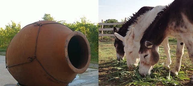 Wine amphora with our donkeys, &copy; Norbert Stock