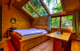 Dreaming under the trees, © Ochys