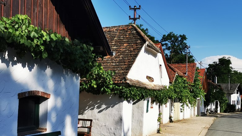 Wine cellar lane in Hadres, © Weinstraße Weinviertel
