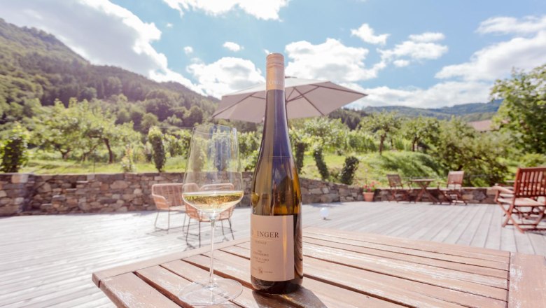 View from the terrace, &copy; Weingut Rixinger