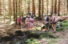 Turistika, &copy; Wunderwelt Wald, Fotograf Benjamin Wald