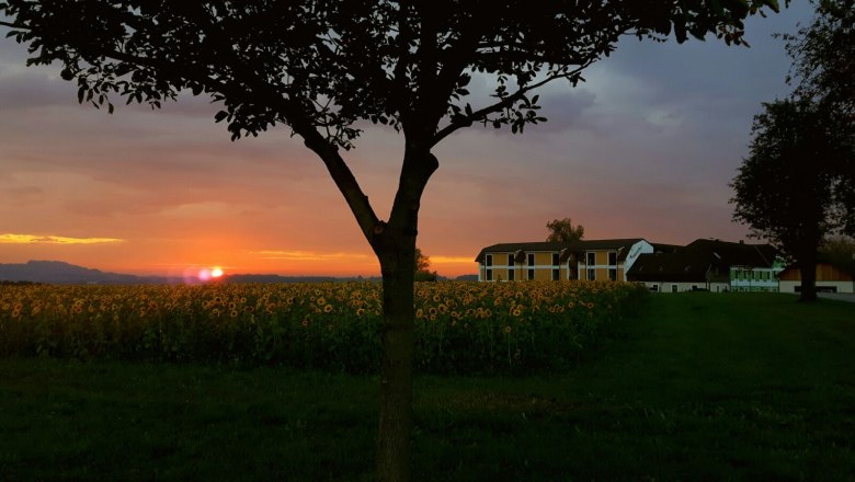 Panorama, &copy; Mostlandhof