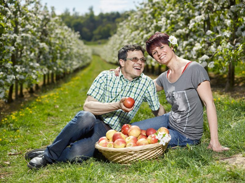 Wein- & Obstbau Fam. Rennhofer | Dolné Rakúsko